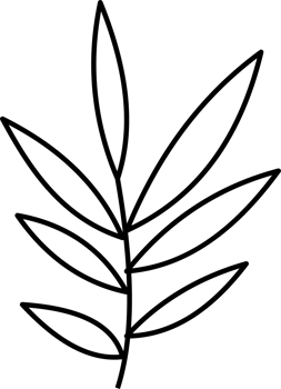 Minimalist Leaf Illustration Design for Coloring Page png