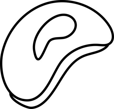 Minimalist Bean Illustration for Coloring Page png
