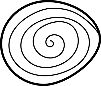 Minimalist Spiral Line Art Design for Coloring Page png