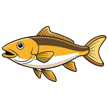 Fresh Seafood for Commercial Use vector