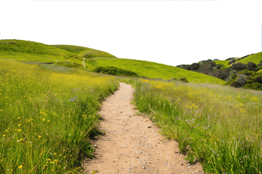 A dirt path in a field png