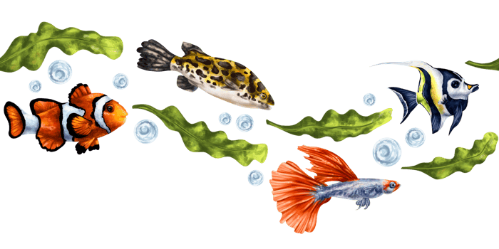 Tropical fish with green algae, angelfish, clownfish. Underwater ocean world, exotic travel, wildlife. Seamless border, isolated illustration, hand-drawn. Exploring marine world png