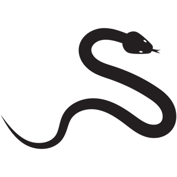 Snake icon silhouette for chinese new year decoration. png