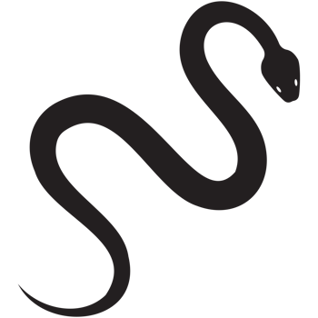 Snake icon for chinese new year. png