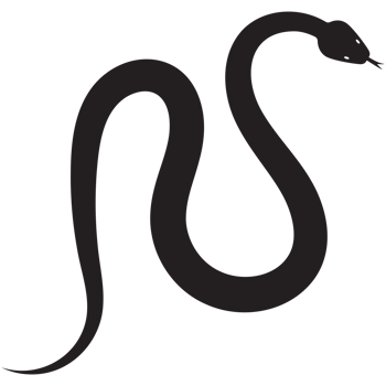 Snake icon for chinese new year decoration. png