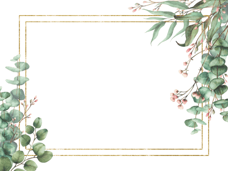 Watercolor Eucalyptus plant and Gypsophila flower twig with gold framed. Floral rectangular template. Green branches with round leaves and pink buds. Hand drawn illustration isolated from background png