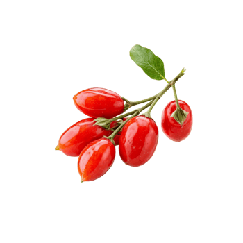Goji berries are shown on a black background png