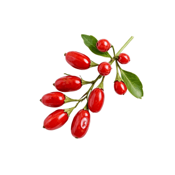 Goji berry - goji berry png