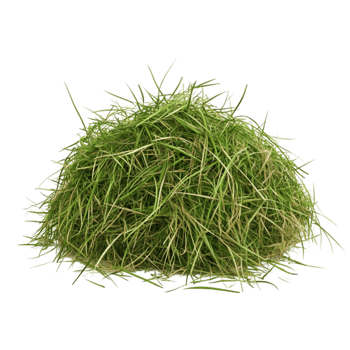 Pile of Grass png
