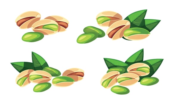 Set of beautiful and delicious pistachios isolated on white background. Illustration of fresh whole, peeled pistachios with green leaves in cartoon style. Healthy snack. vector