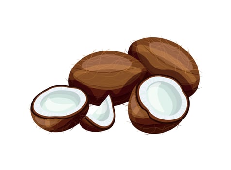 Delicious coconuts isolated on white background. Flat illustration of delicious whole and half coconuts in cartoon style. Coconut icon. Healthy, organic fruit. Exotic fruit. vector