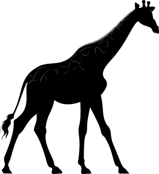 silhouette of giraffe in black isolated . png