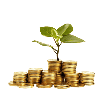 Growing Money Plant on Golden Coins Financial Success Investment Growth, png