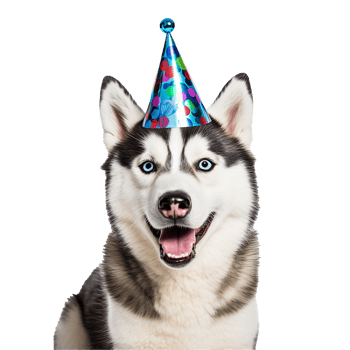 Happy Husky Puppy Birthday Party Hat, png