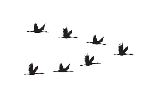 Hand drawn flying cranes bird flock vector