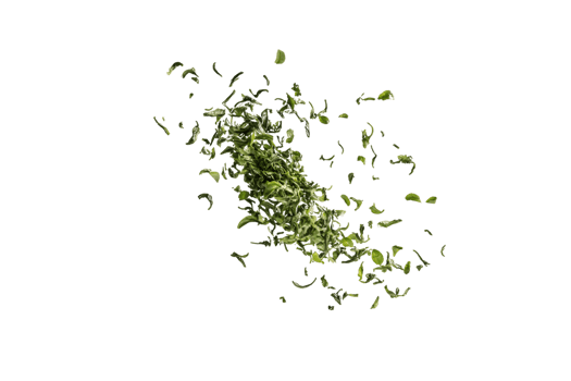 Abstract Composition of Green Leaves in Motion png