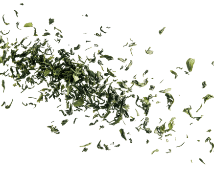 Dynamic Motion of Loose Green Tea Leaves png