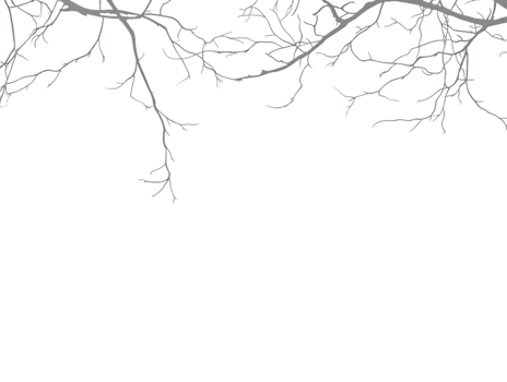 Intricate Bare Branches png