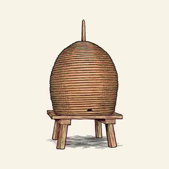 hand drawn traditional straw beehive illustration vector