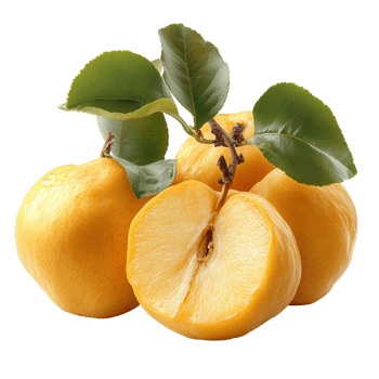 Bright yellow quinces arranged with lush green leaves showcasing fresh fruit ready for autumn harvest isolated on transparent background png