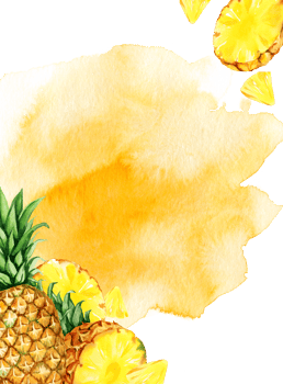 watercolor hand drawn illustration of pineapple with half and slices ripe pineapple, sketch of yeliow tropical fruit, food illustration on watercolor splash background png