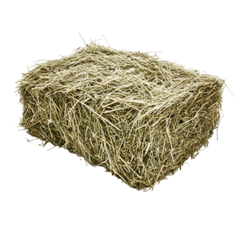 hay bale on transparent background png