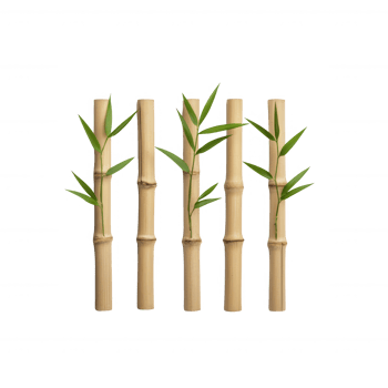 A cluster of bamboo stalks with vibrant green leaves, symbolizing strength and growth. png
