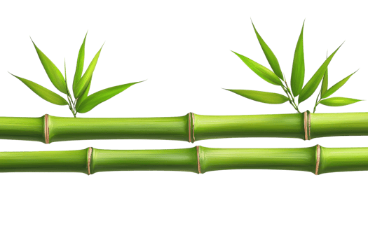 Seamless bamboo border illustration with green leaves, perfect for eco-friendly design projects and natural-themed backgrounds. png