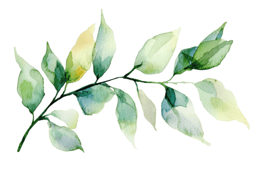 Watercolor painting of a delicate green leafy branch, perfect for nature-inspired designs, invitations, and artistic projects. png