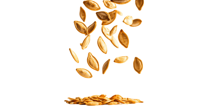 Falling pumpkin seeds isolated on transparent background png