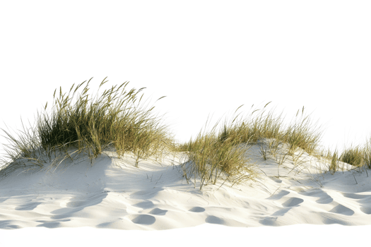 Scenic view of sand dunes with grass, highlighting the serene coastal landscape perfect for nature backgrounds and calming images. png