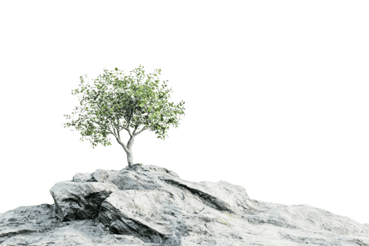 Lone green tree atop rugged rocky terrain, symbolizing resilience and solitude in a natural landscape against a transparent background. png