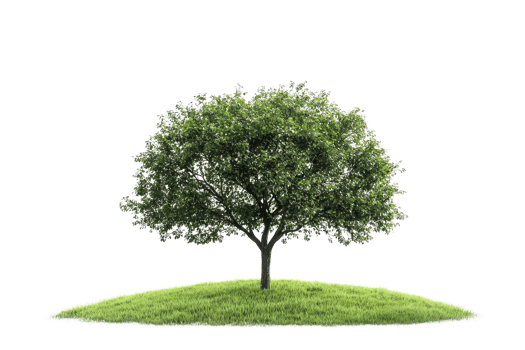 Lush green tree on a small grassy hill isolated on transparent background. showcasing natural beauty and simplicity. png