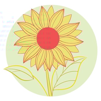 Pastel Sunflower Illustration Summer Bloom, Yellow Petals, Green Leaves vector