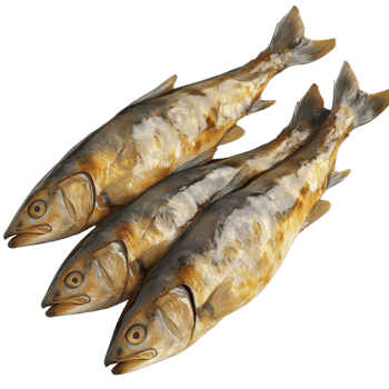 Three Smoked Fish Arranged on a White Background png