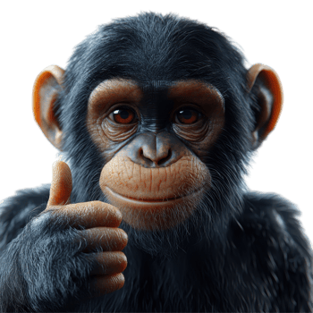 Happy monkey shows thumbs up gesture with friendly expression, capturing a moment of joy and playfulness in a lively setting isolated on transparent background. png