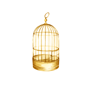 watercolor golden vintage bird cage, hand drawn antique metal gold birdcage, illustration of empty cage for bird pet png