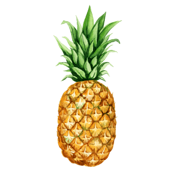 watercolor hand drawn illustration of ripe pineapple with fresh green leaves, sketch of tropical fruit, food illustration png