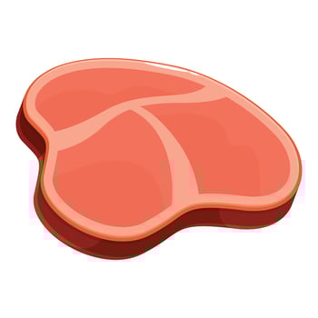 Cartoon style illustration of a fresh meat cut showing its texture vector