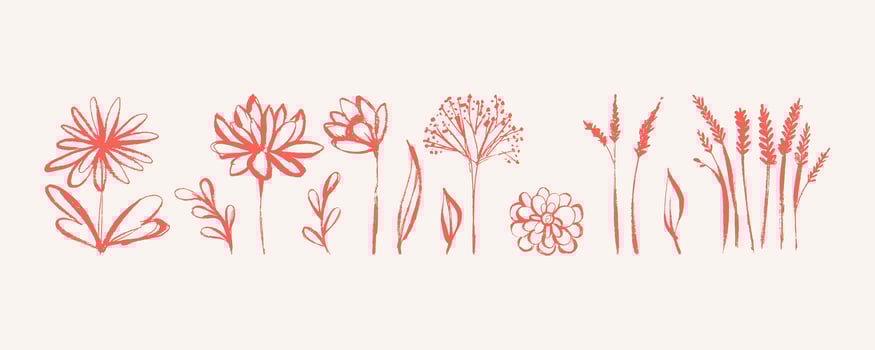 Elegant Field Flowers Isolated on White Background with Grunge. Dry ink strokes of herb silhouettes. Brush dry painting of field plants vector