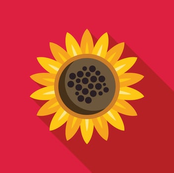 Sunflower blooming with yellow petals and brown center on red background vector