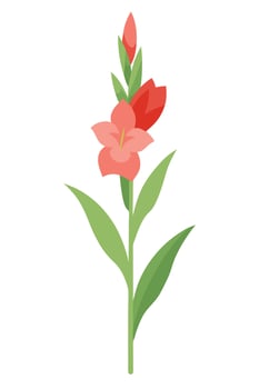 Elegant Pink and Red Gladiolus Flower Stem, Green Leaves, Floral Bloom vector