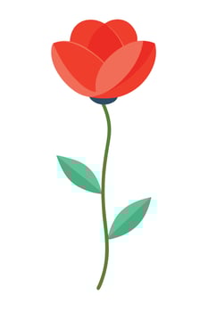 Simple Red Poppy Flower Illustration Stem, Leaves, Bloom vector
