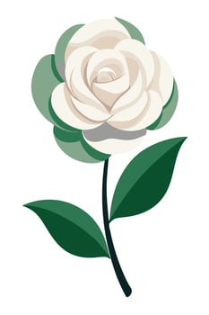 Elegant White Rose Bloom Botanical Illustration, Floral Art, Natures Beauty vector