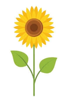Vibrant Yellow Sunflower, Summer Bloom, Bright Petals, Green Leaves, Tall Stem, Single Flower, Nature vector
