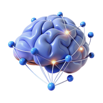 Illustration Brain Network Connections Synapses Neural Pathways png