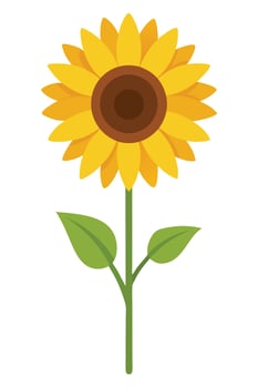 Bright Yellow Sunflower Blossom, Summer Flower, Nature, Plant vector