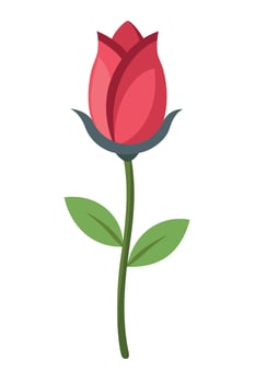 Single Red Rosebud Blossom, Simple Floral Illustration vector
