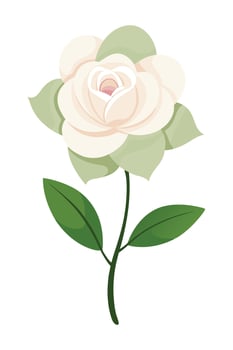 Elegant White Rose Blossom, Green Leaves, Floral Stem, Botanical Illustration vector
