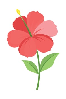 Vibrant Red Hibiscus Flower, Tropical Bloom, Nature Illustration vector